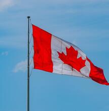 Canada: Nearly Eighty Percent of Weed Purchased Legally