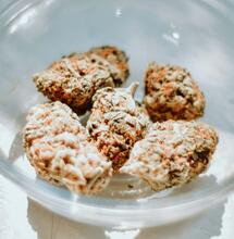 Možnosti konopné léčby