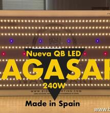 Nagasaki: La luminaria ideal para tu indoor