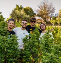 The Fabulous Narnia Cannabis Crew: passione e rispetto a servizio della natura