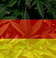 Legalizace marihuany v Německu