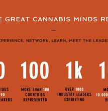 Op de website worden gouden bergen beloofd