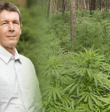 El maestro de la Haze