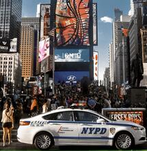 New York solo erba di qualità, guerra a shop illegali