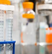 California workplace protections for cannabis users