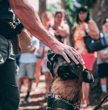 Can New Jersey Cops Smoke Pot Off-Duty?