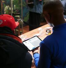 new mexico, legal cannabis, first year of legalization