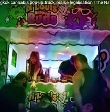 thailand legalisation, cannabis regulation.