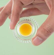 Special 710: The Ultimate Beginner’s Guide to the World of Dabs