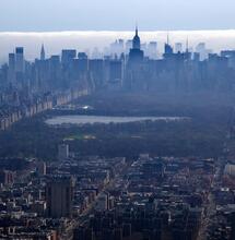 legal cannabis, New York.