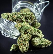 new york opens first dispensary in manhattan.