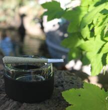 New York, public opinions on cannabis and alcohol 