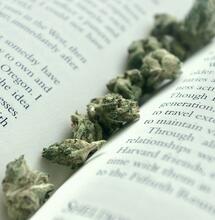 Argentina, la que se ríe del faso