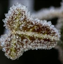 No Rest for the Wicked