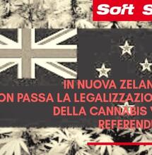 Nuova Zelanda, vince il No al referendum consultivo sulla legalizzazione della cannabis