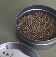 what's the nutritional value of hemp cannabis seeds?
