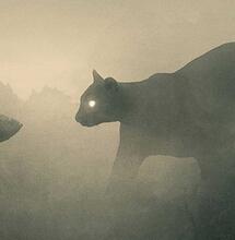 Nature Strikes Back!