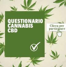 Nasce l’Osservatorio Cannabis CBD con il primo sondaggio su consumo e coltivazione di cannabis light in Italia