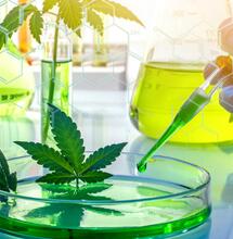 Ostinarsi a vedere il bicchiere mezzo vuoto