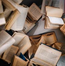 5 Must Read Cult Classic Cannabis Books 