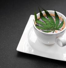 Lamborghini si unisce al mercato della cannabis