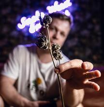 Perfect Grow S02 EP08: Curing Your Buds 