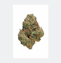 Permanent Marker de Advanced Seeds: cultivo y cata