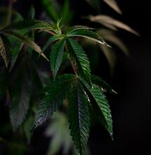 Top tipů na vyšší výnosy