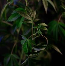 Wie man einen Versorgungsbehälter vorbereitet