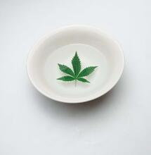 Pěstování ve skleníku, část 2.