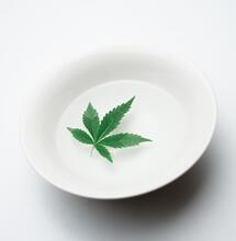 La FDA reserva el uso del CBD para la industria farmacéutica