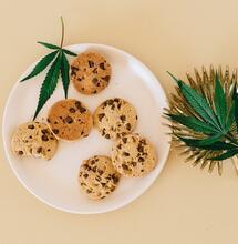 cookie edibles 