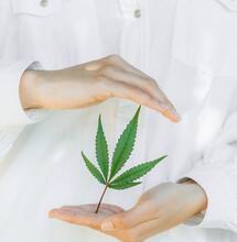 Weitere Studie belegt positive Wirkung bei Demenz