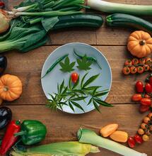 Si può essere allergici alla cannabis?