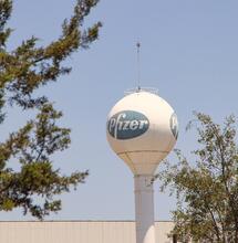 Pfizer en el mercado del cannabis