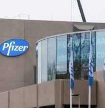 pfizer HQ