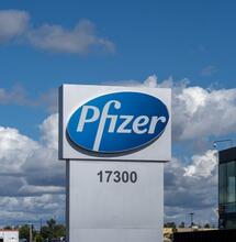 Pfizer mette le mani sulla Cannabis terapeutica