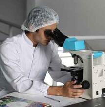 Cannabis como en bolsa