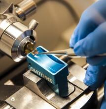 Descubren cómo el THC frenara cáncer