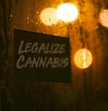 Descriminalizar, legalizar, ya todos hablan de eso