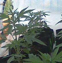 Top Tips For Spring Time