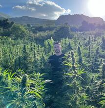 Rue de la Boulette : la récolte 2024 sera-t-elle à la hauteur?