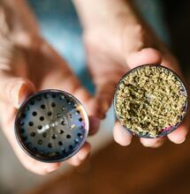 ¿Qué es importante de un picador, grinder o picachu de marihuana?