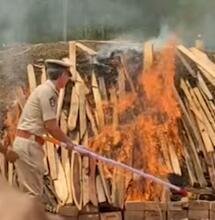 Police in India Burns 200 Tons of Cannabis