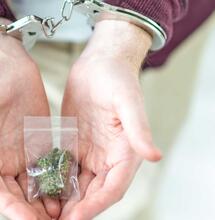 Polizia e legalizzazione della cannabis