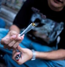 Del pulmón a cerebro: el camino del THC por dentro.