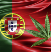 Il Portogallo spinge la Cannabis: via libera a tre nuove medicine