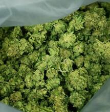 Riformare la politica antidroga: il modello Portogallo