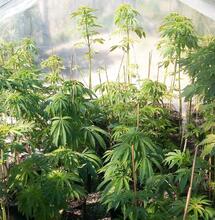 Preparing for The Outdoor Season