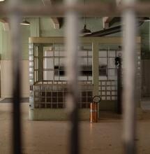 Tre giorni in carcere per traffico ma era canapa legale